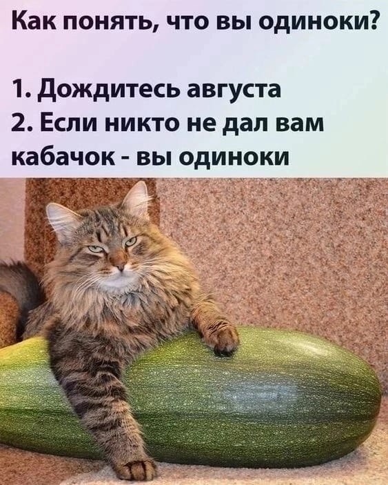  - 8  2024  22:27