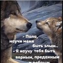  , , 56  -  25  2025