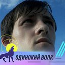 ���� ����, �����, 35 ��� - ��������� 11 ������� 2026 � ������ ���� ����������