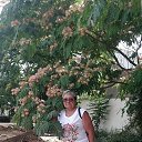 ���� �������, ������ ��������, 69 ��� - ��������� 2 ������� 2026 � ������ ���� ����������