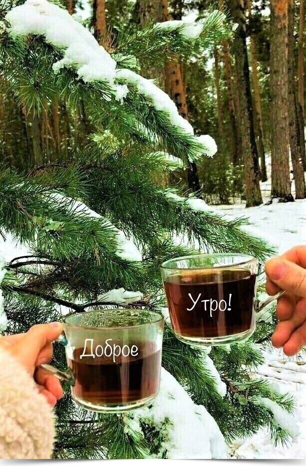     ..    !..  ****************************