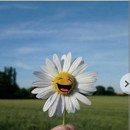 ����, ������, 52 ����