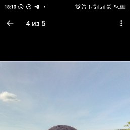 , 41 , -