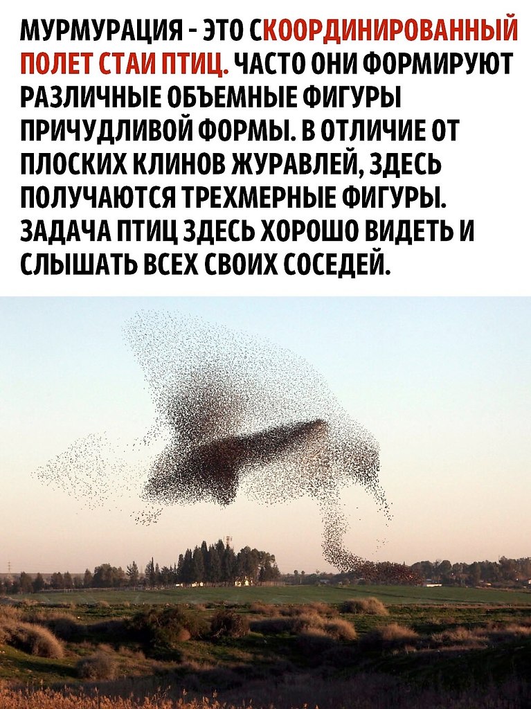     - 2