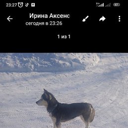 ����, ������, 31 ���