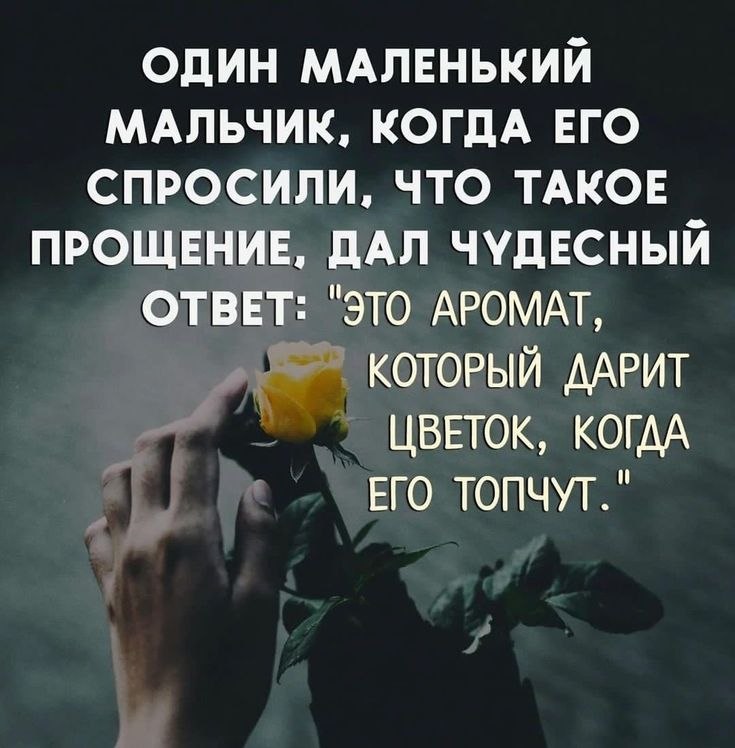  ! - 17  2025  07:46