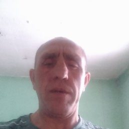 �������, �����������, 41 ���