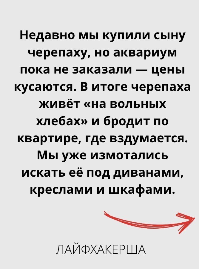 ���������� ���� - 25 �������� 2025 � 16:12