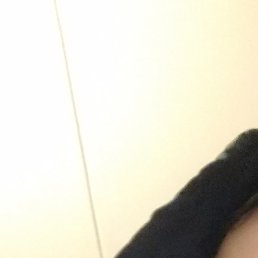 �����, ������������, 41 ���