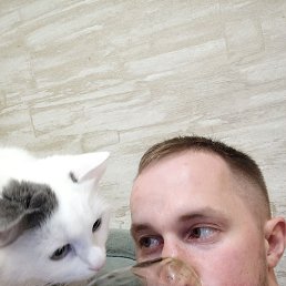 , 34, 