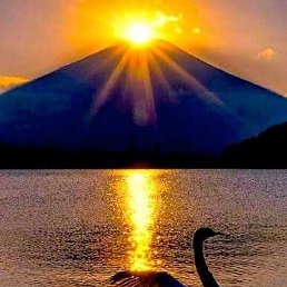 �������, ������� ������, 61 ���