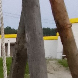 ����, �����������, 58 ���