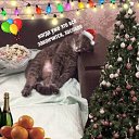 ���� ���������, ������ ��������, 60 ��� - ��������� 26 ������� 2024 � ������ ������ ��������