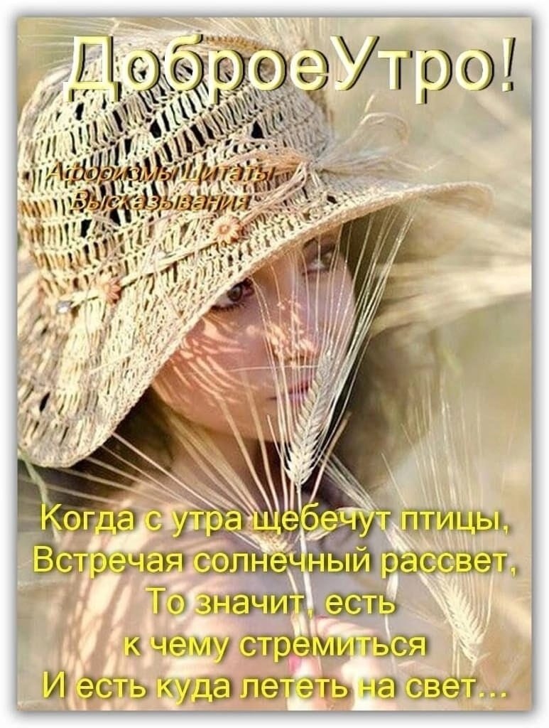   ,    . - 11  2025  06:37