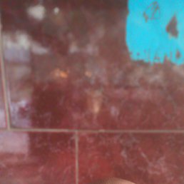, 32, 