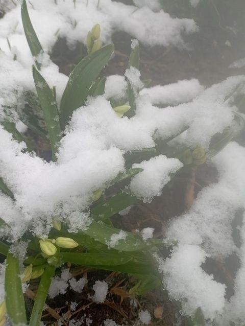      .:   - 3