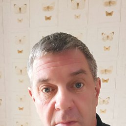 , 62, 
