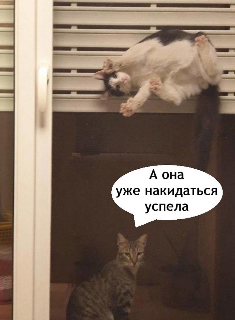 ��� ��� ���� ��� � ����� - 3