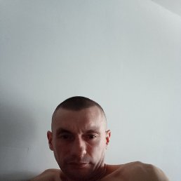 ����, �����-���������, 42 ����