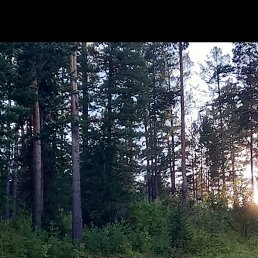 ���� �����, ����-������, 51 ��� - ��������� 5 ����� 2026