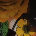 ���� Nvkbkbkg, �����������, 23 ���� - ��������� 9 ��� 2026 � ������ ���� ����������