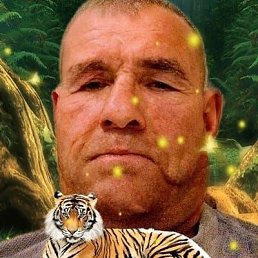 , 46, 