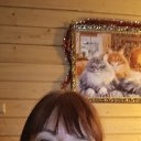 ���� ������, �����-���������, 66 ��� - ��������� 6 ������ 2026 � ������ ������ ��������