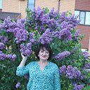 ���� ������, ������ - ��������� 17 ������ 2024