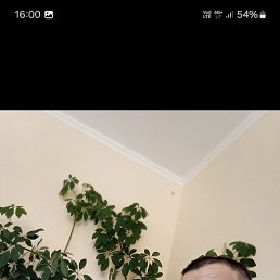 , 42, 
