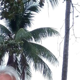 �������� �, �����-���������, 56 ���