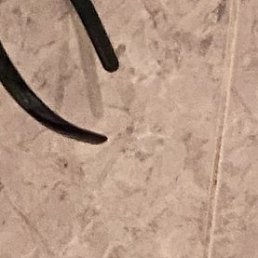 �����, ������-��-����, 22 ����