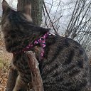 ���� ������, �����, 29 ��� - ��������� 28 ������� 2024 � ������ ���� ����������