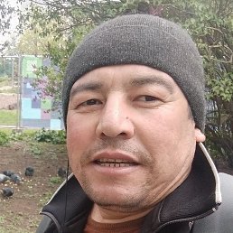 ����, ���������, 40 ���