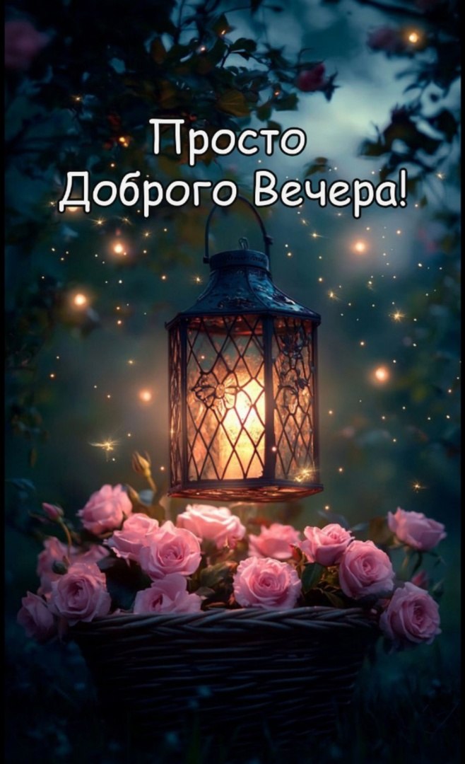  - 12  2025  19:54