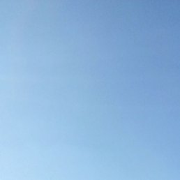 ������, ����, 39 ���