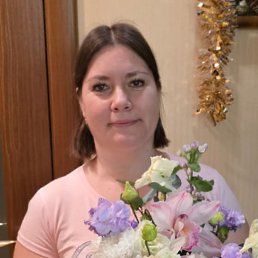 �����, 41 ���, ���������