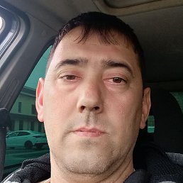 �����, ������, 44 ����