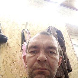 �����, 38 ���, ���������