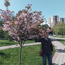 ���� ����, ���������, 65 ��� - ��������� 16 ������� 2025