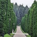 ���� �����, �������, 50 ��� - ��������� 16 ������ 2023 � ������ ���� ����������