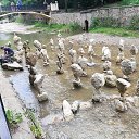 ���� �������, �������������, 65 ��� - ��������� 23 ������ 2025 � ������ ���� ����������