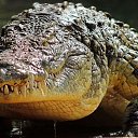 ���� ���������, ������, 38 ��� - ��������� 14 ������ 2024 � ������ ���� ����������