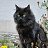 ���� `�������, ����, 60 ��� - ��������� 9 ������� 2023