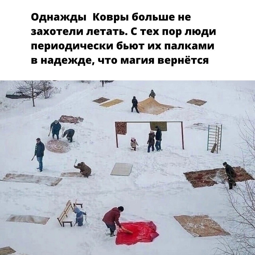  - 14  2025  10:31