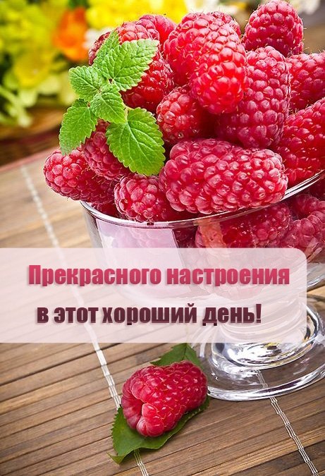 ***Victoria Viktorovna*** - 18  2024  09:00 - 2