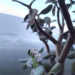 ���� ������, ������, 40 ��� - ��������� 8 ������� 2026