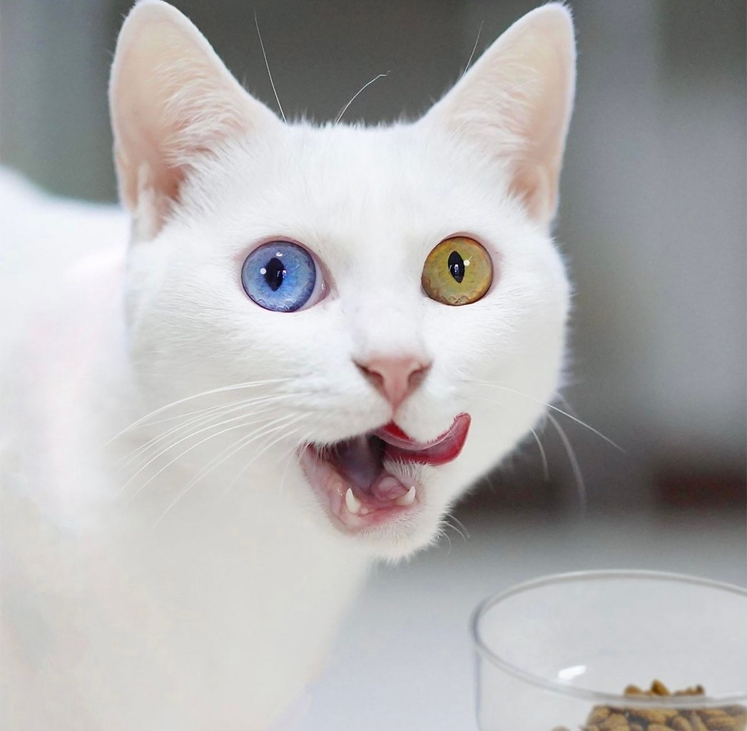 ������ ������! ����� ��� �� ������! - 3