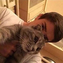 ���� �����, ������, 29 ��� - ��������� 8 ������ 2023