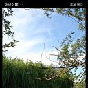 ���� �������, �����-���������, 50 ��� - ��������� 9 ������� 2026 � ������ ���� ����������