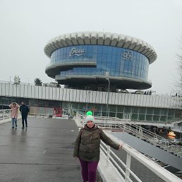 ���� ���������, ���������, 41 ��� - ��������� 10 ������ 2024